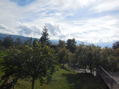 Vista